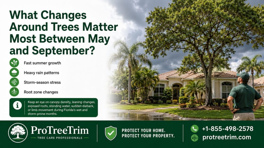 What Changes Around Trees Matter Most Between May and September?